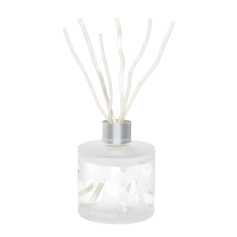 Reed Diffuser Aroma Energy 180ml
