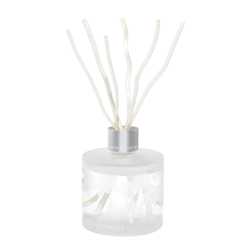 Reed Diffuser Aroma Focus 180ml