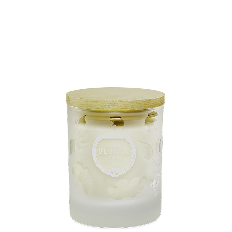 Scented Candle Aroma Relax