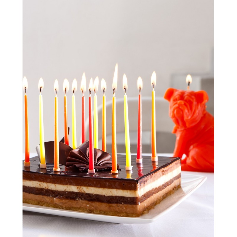 "SAM" Dog Candle Coral